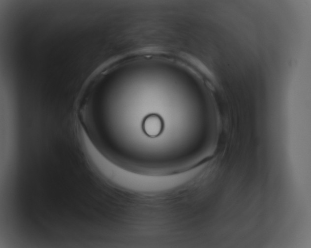 X0000101391356200807071148