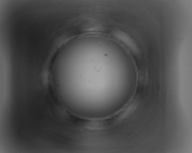 X0000101391357200807071148