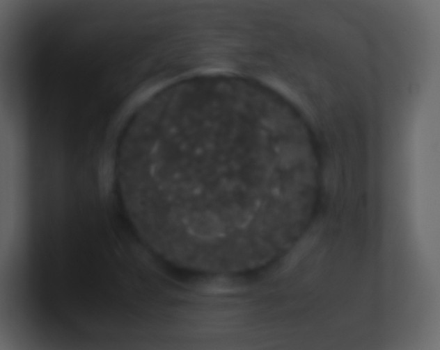 X0000101391359200807071148