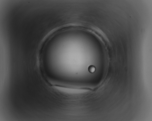 X0000101391360200807071148