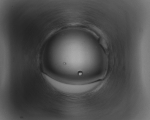 X0000101391361200807071148