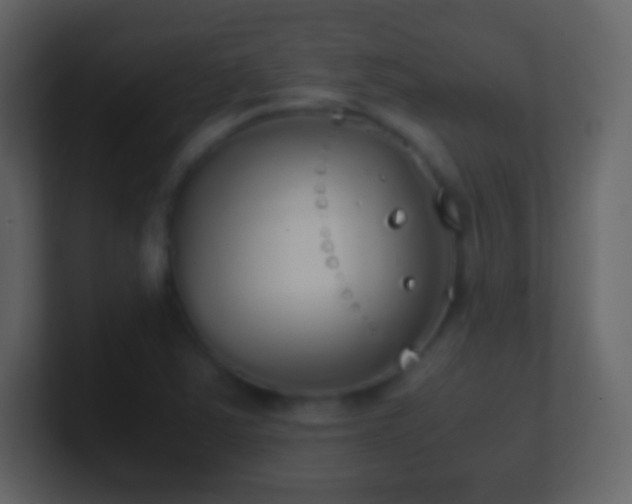 X0000101391363200807071148