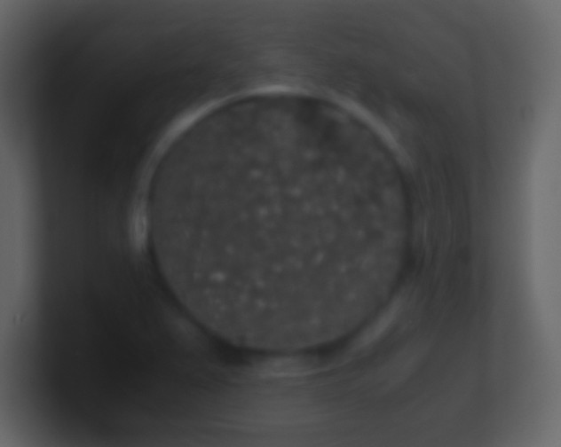 X0000101391367200807071148