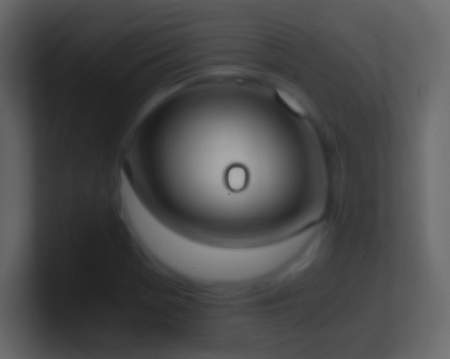 X0000101391369200807071148