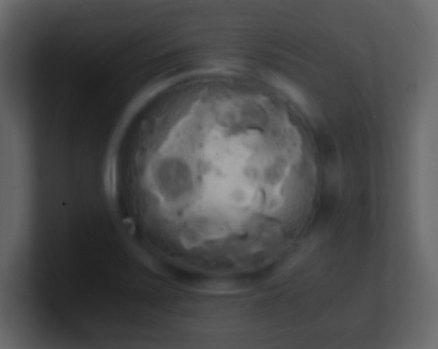 X0000101391371200807071148