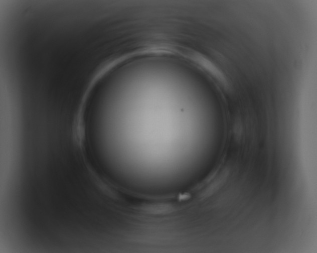 X0000101391372200807071148