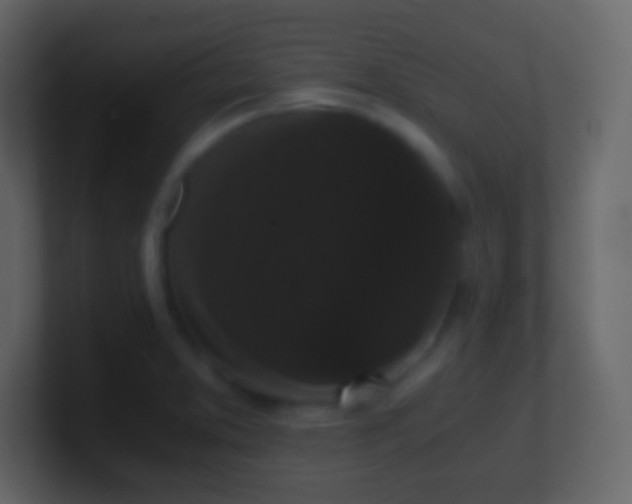 X0000101391373200807071148