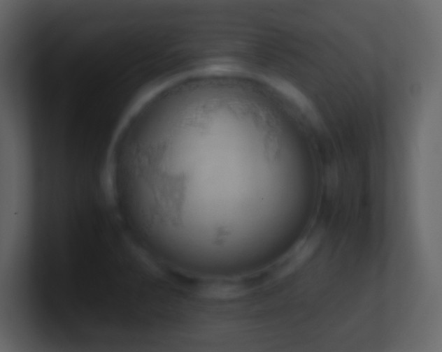 X0000101391374200807071148