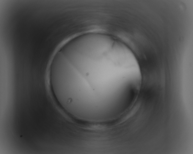 X0000101391375200807071148