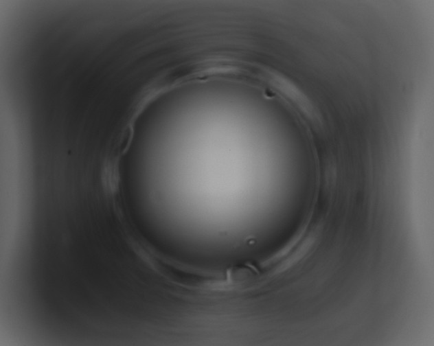 X0000101391377200807071148