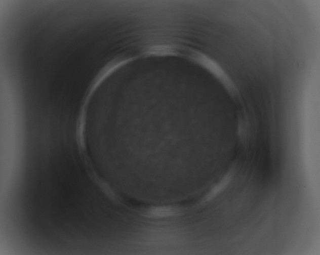 X0000101391378200807071148