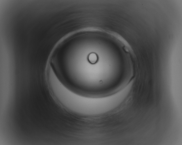 X0000101391380200807071148