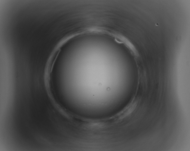 X0000101391381200807071148