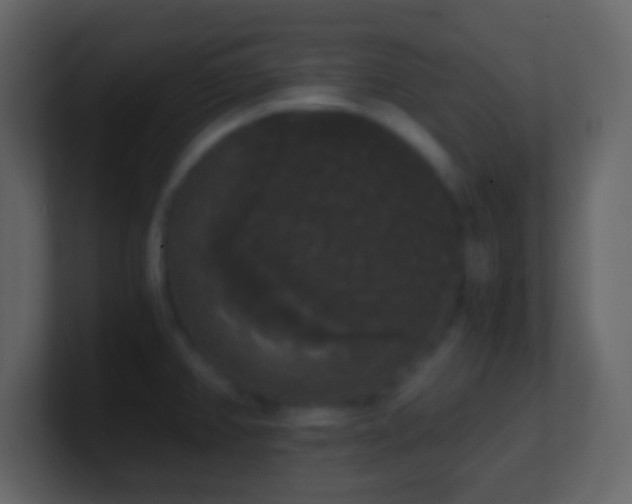 X0000101391382200807071148