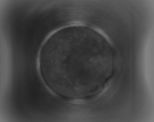 X0000101391383200807071148