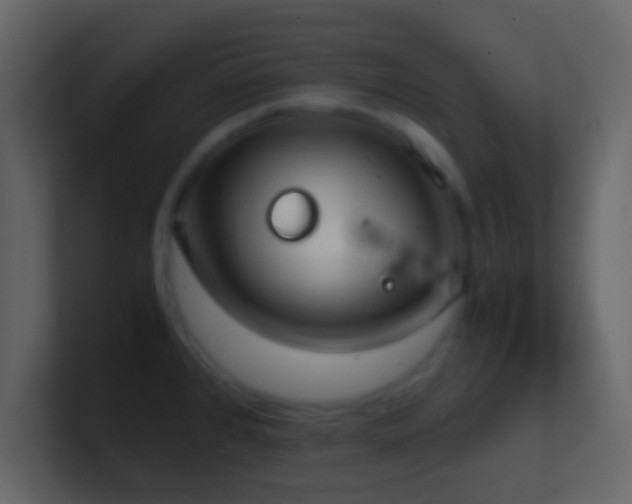 X0000101391384200807071148