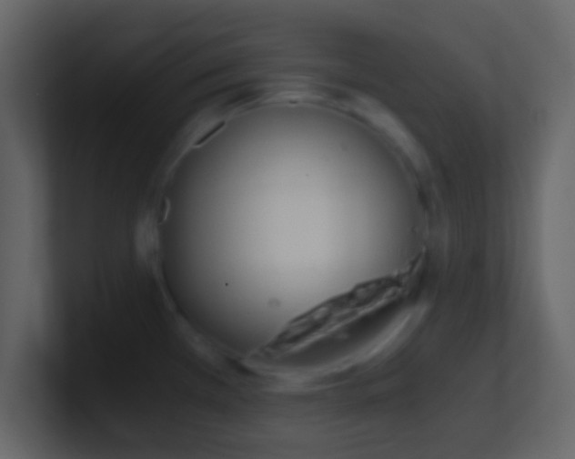 X0000101391385200807071148