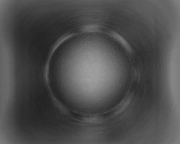 X0000101391386200807071148