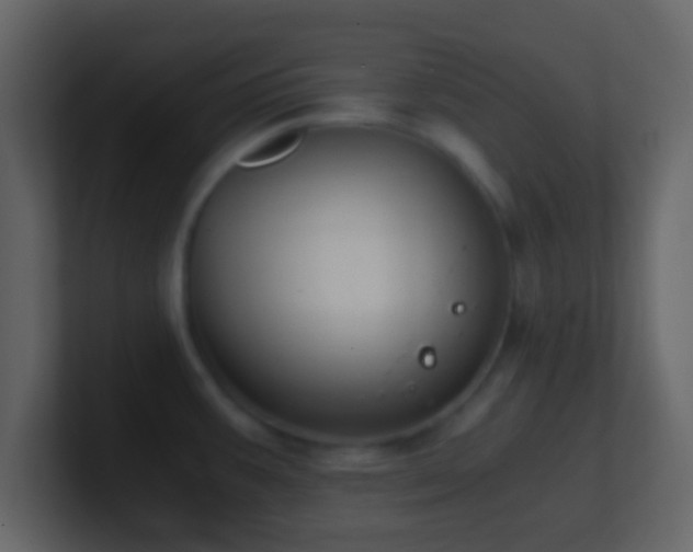 X0000101391387200807071148