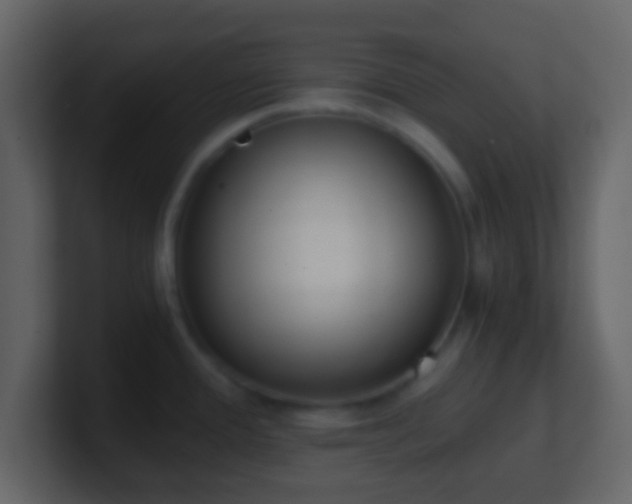 X0000101391388200807071148