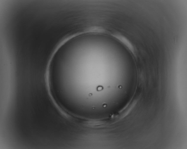 X0000101391391200807071148