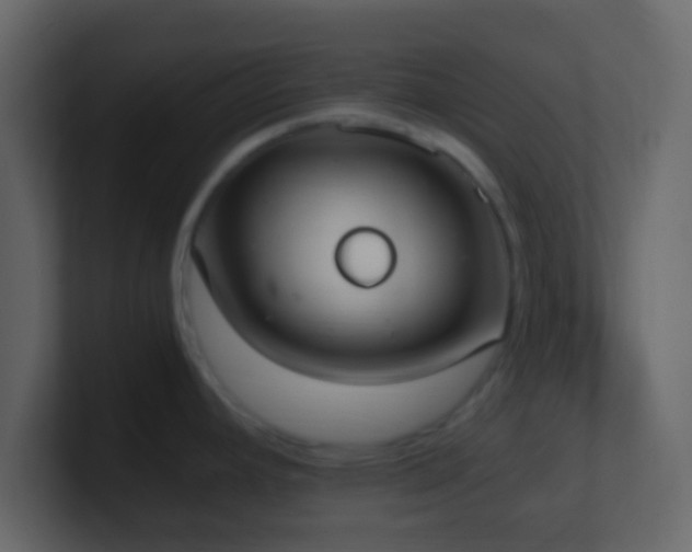 X0000101391392200807071148