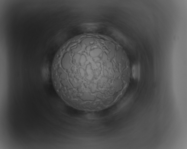 X0000101391395200807071147