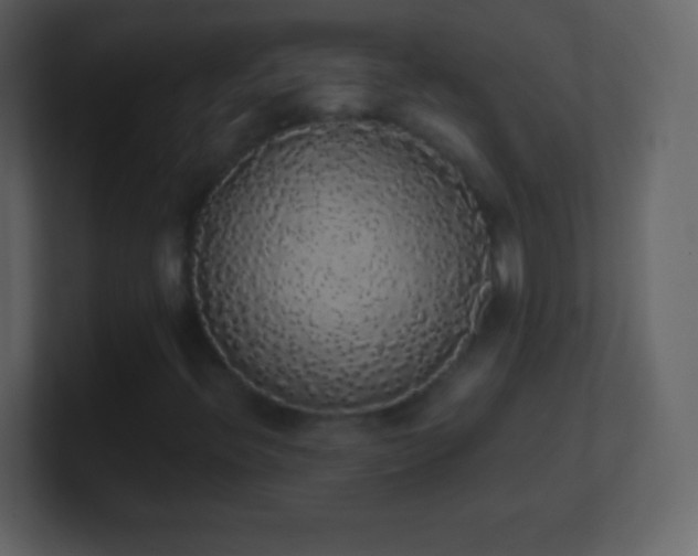 X0000101391396200807071147