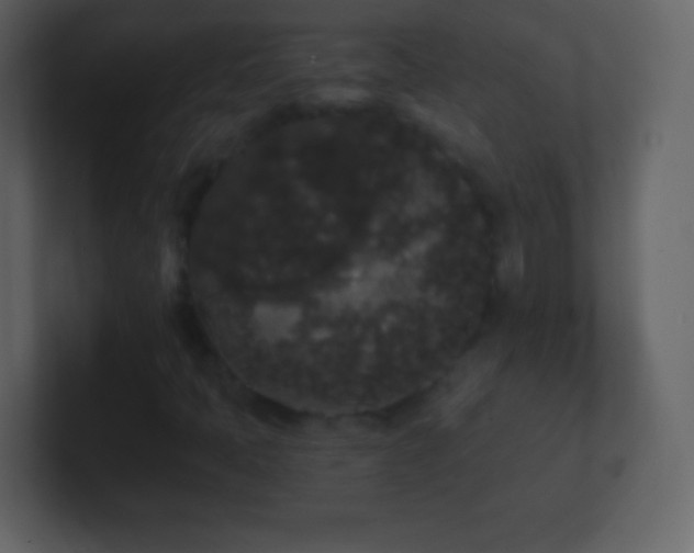 X0000101391397200807071147