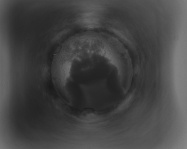 X0000101391398200807071147