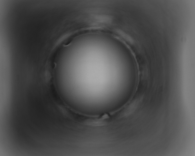 X0000101391400200807071147