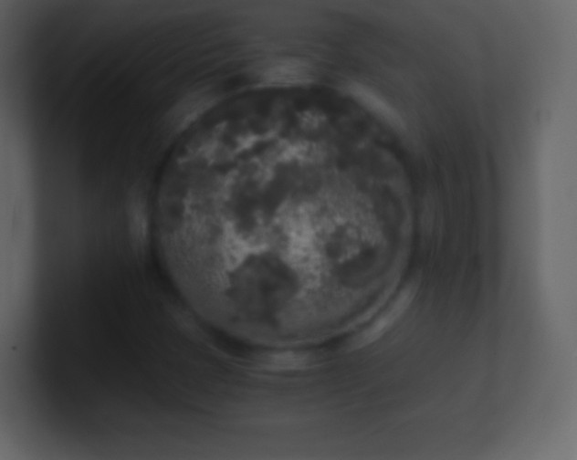 X0000101391401200807071147