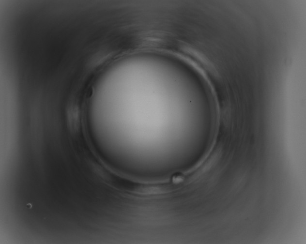 X0000101391402200807071147