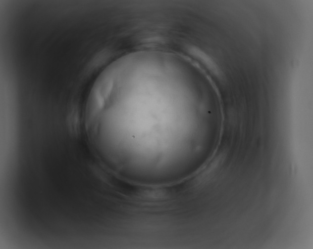 X0000101391403200807071147