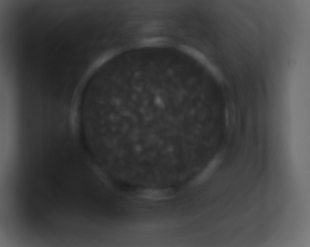 X0000101391405200807071148