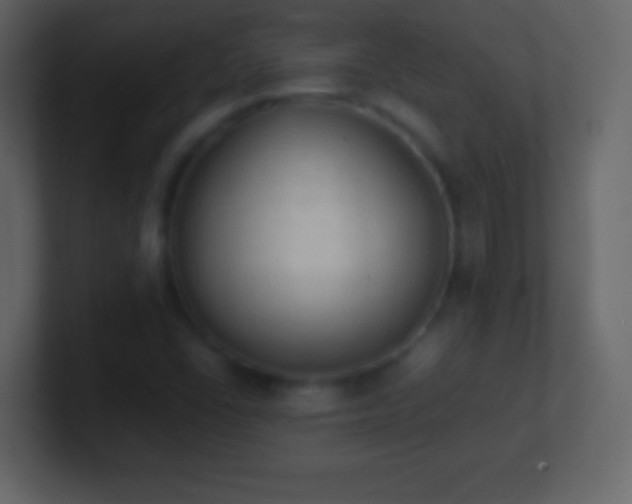 X0000101391406200807071148