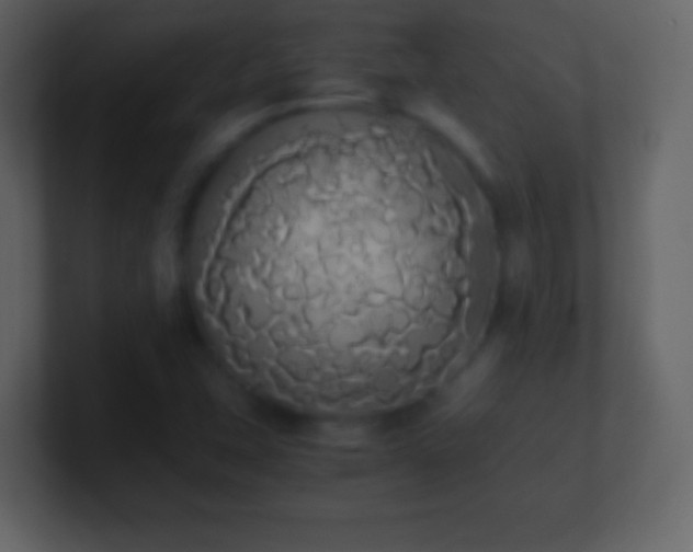X0000101391407200807071148