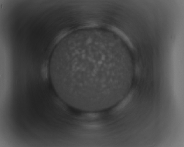 X0000101391409200807071148