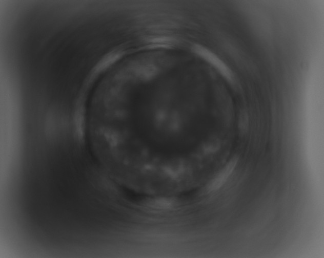 X0000101391411200807071148
