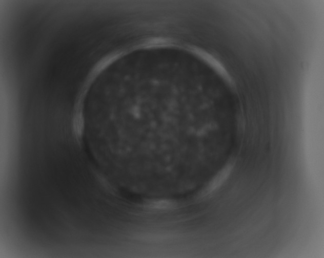 X0000101391413200807071148