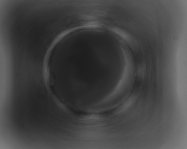 X0000101391414200807071148