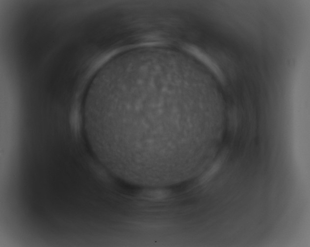 X0000101391415200807071148