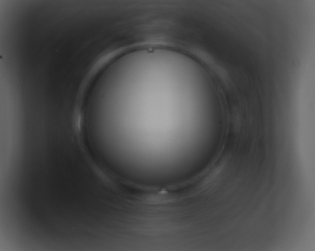 X0000101391416200807071148