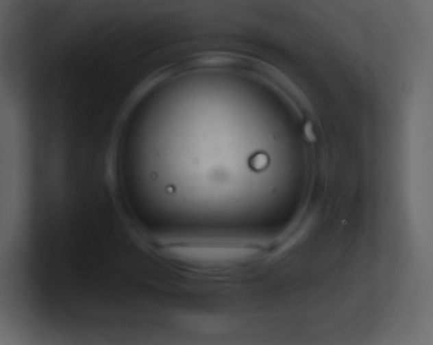 X0000101391417200807071148