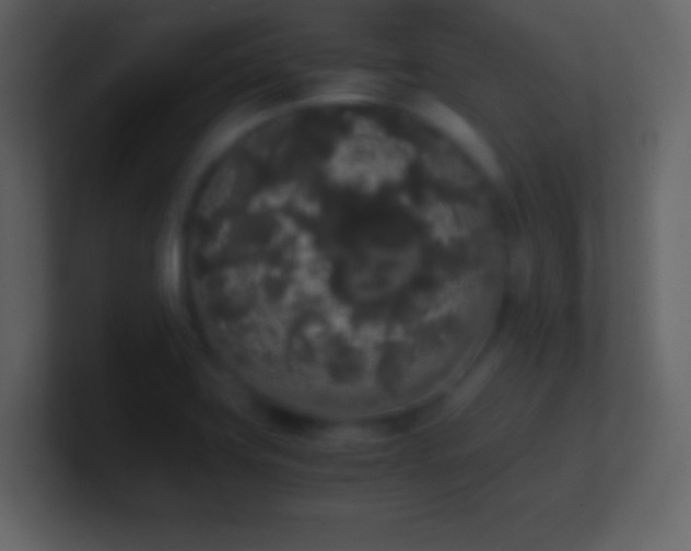 X0000101391419200807071148