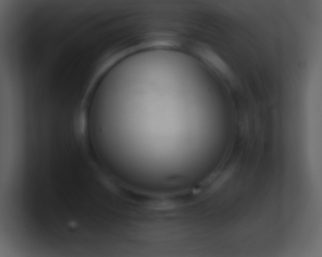 X0000101391420200807071148