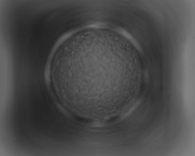 X0000101391421200807071148