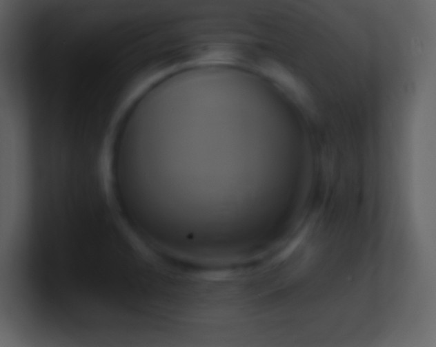 X0000101391422200807071148
