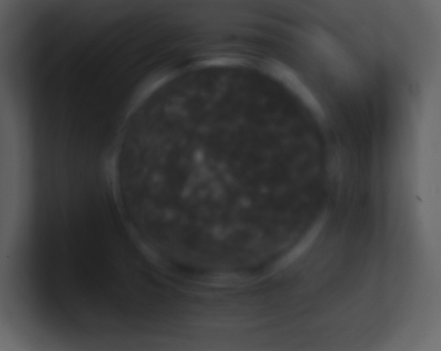X0000101391425200807071148