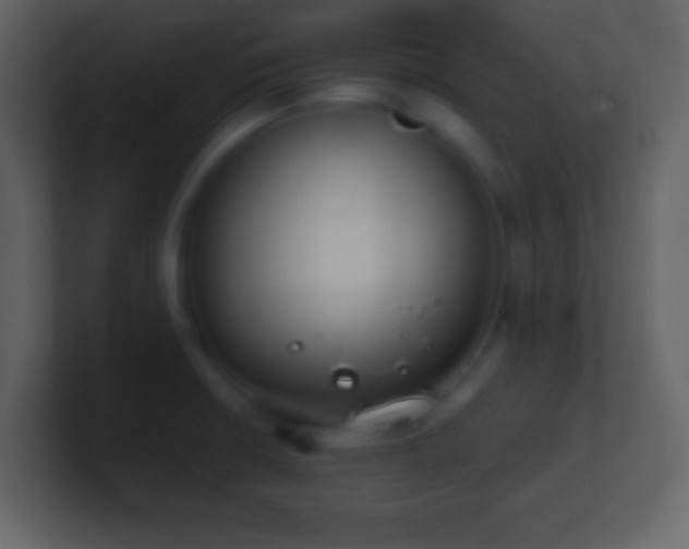 X0000101391426200807071148